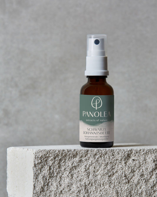 PANOLEA Knospenextrakt Schwarze Johannisbeere