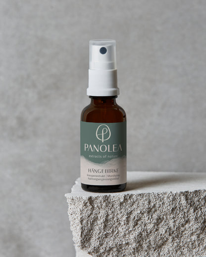 Gemmo | Knospenextrakt Hängebirke