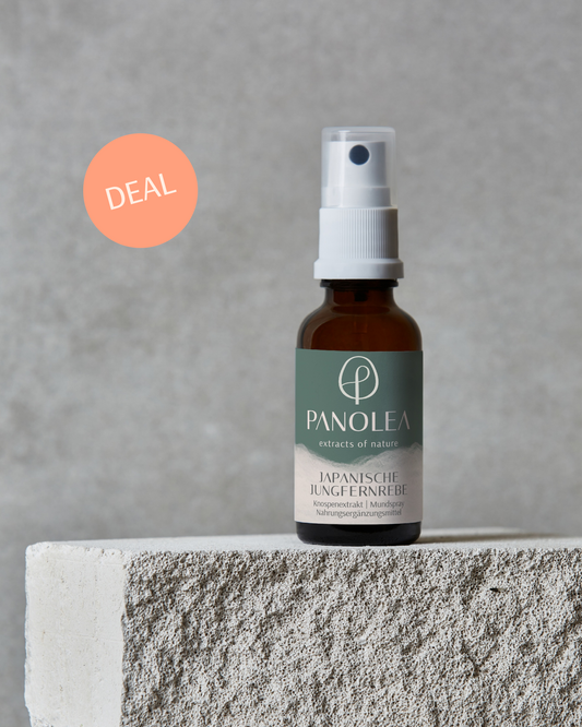 PANOLEA Deals | Gemmo | Knospenextrakt Japanische Jungfernrebe