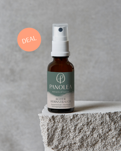 PANOLEA Deals | Gemmo | Knospenextrakt Roter Hornstrauch
