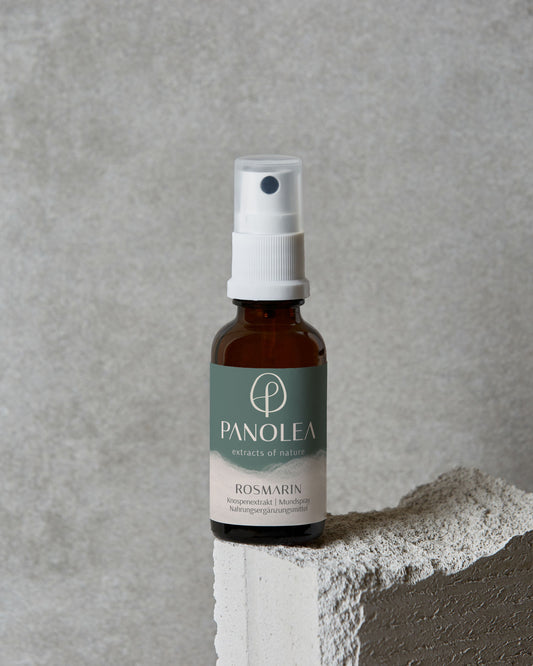 PANOLEA Knospenextrakt Rosmarin