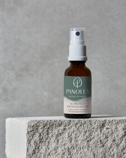 PANOLEA Knospenextrakt Schwarze Johannisbeere