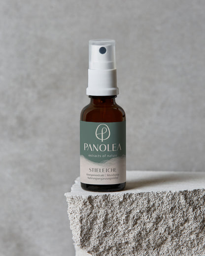 PANOLEA Knospenextrakt Stieleiche