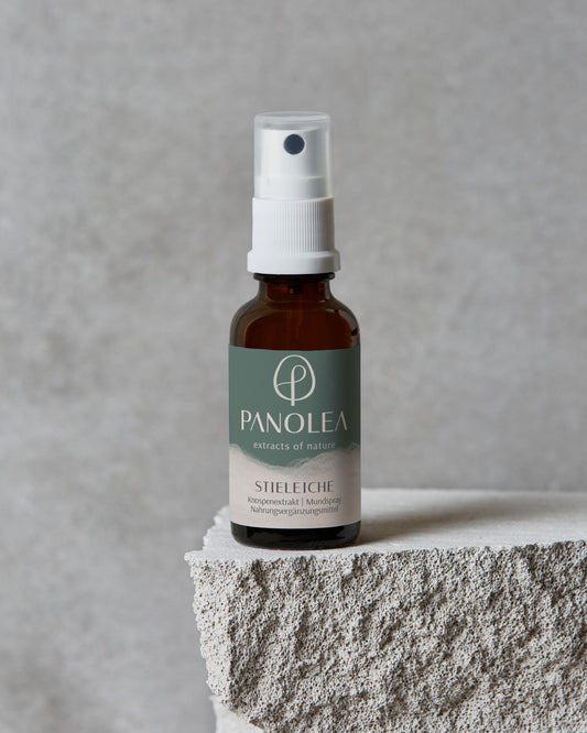 PANOLEA Knospenextrakt Stieleiche